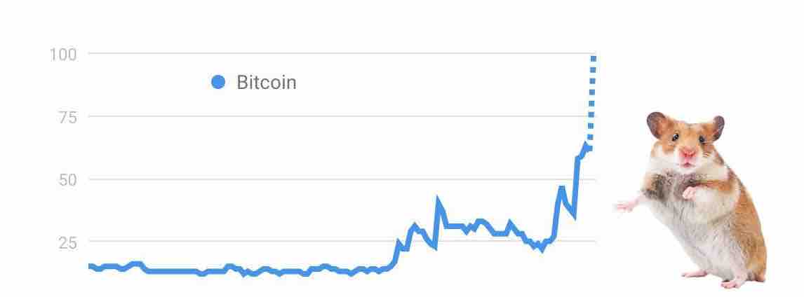 WhaleFactor's tweet photo. The number of searches on Google for “Bitcoin” grows in a parabola. https://t.co/wv4W2yPcML