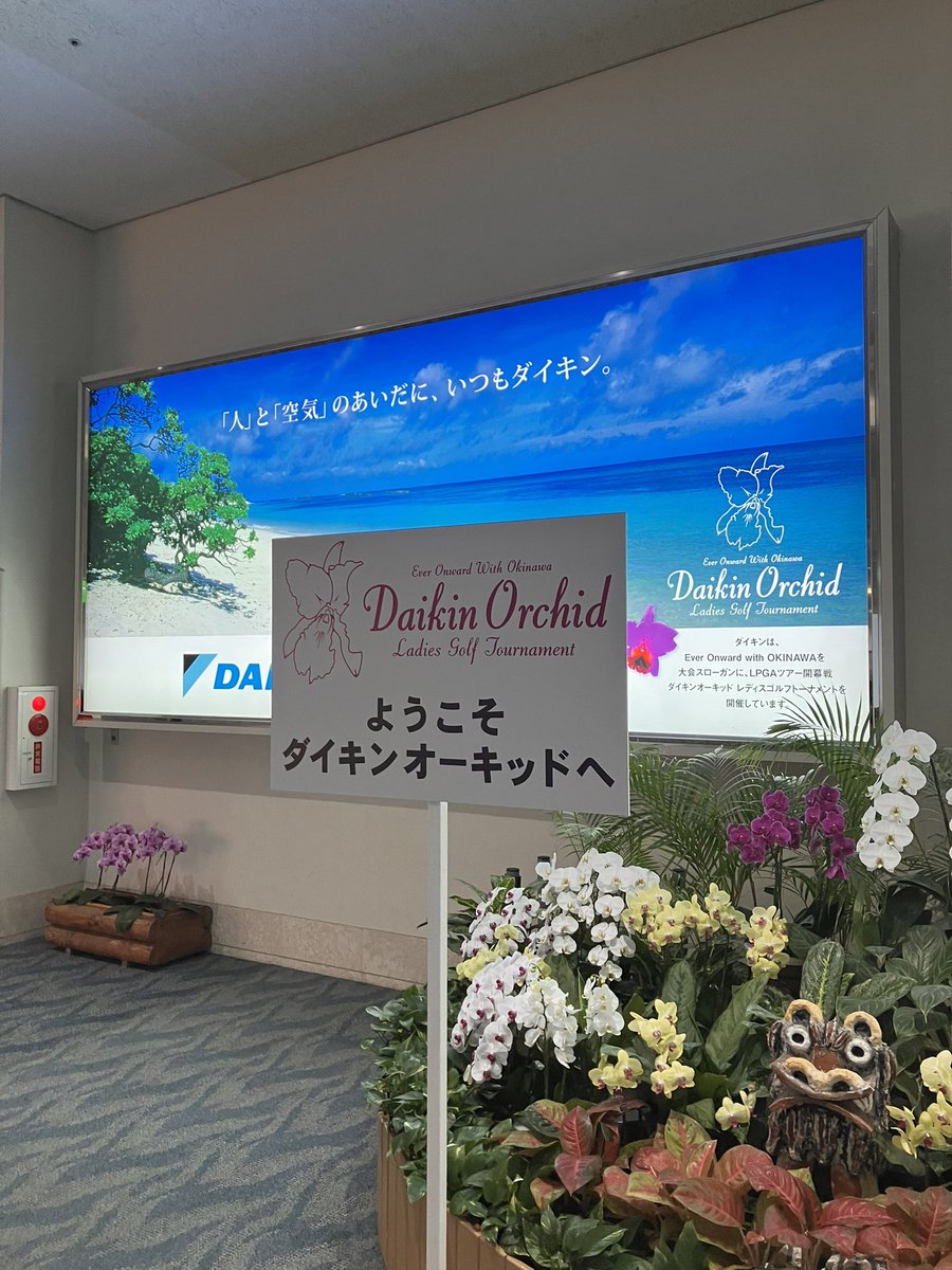 e_golf_shingu's tweet photo. いよいよ開幕しますね〜♫
今年はどんな戦いになるか楽しみ😊

#ダイキンオーキッドレディス 
#JLPGA
#女子ゴルフ
#ゴルフ好きと繋がりたい https://t.co/RD60MTChfw