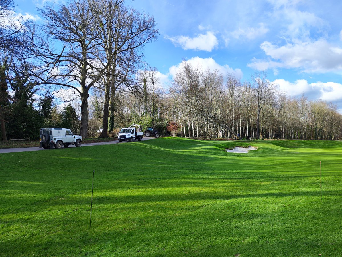 GreenieRob's tweet photo. An advantage of working on a big estate is having your own in-house forestry team who can deal with the big trees when they come down. Luckily the course was closed when this big boy came down around 12.30 on Monday and no one was playing the hole. #thedownscourse #fallentree https://t.co/K9AeqBbjOH