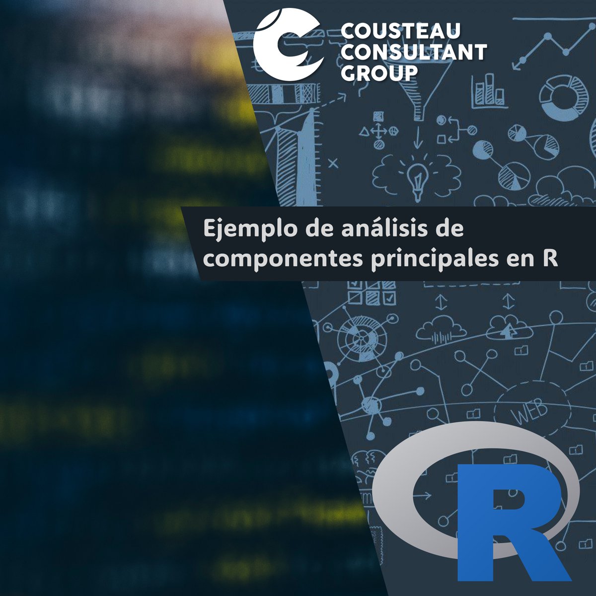 Cousteau Consultant Group tweet media