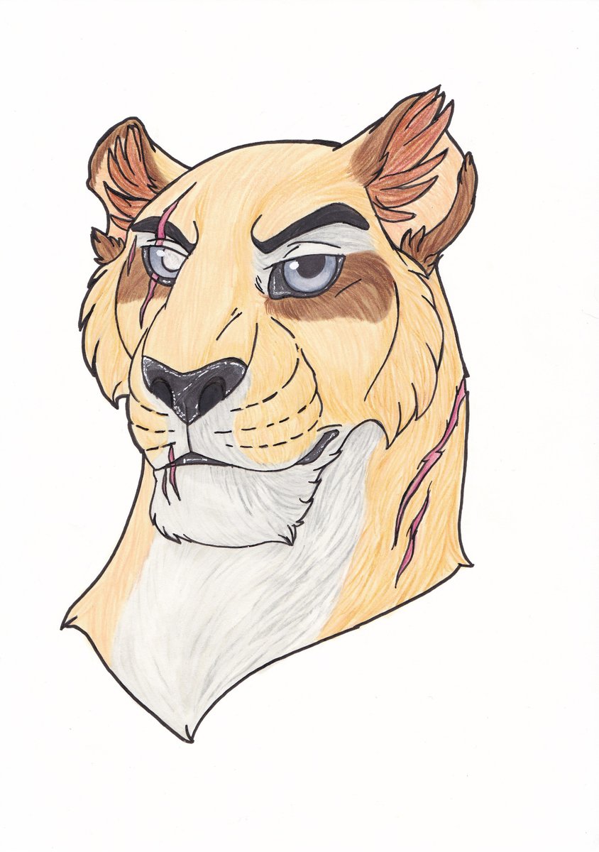 Rourth's tweet photo. Lions
Lyanna,Enasail, Piegus

#lionking #Lions #traditionalart #furryart #furryartwork https://t.co/WV1LHvmIt9