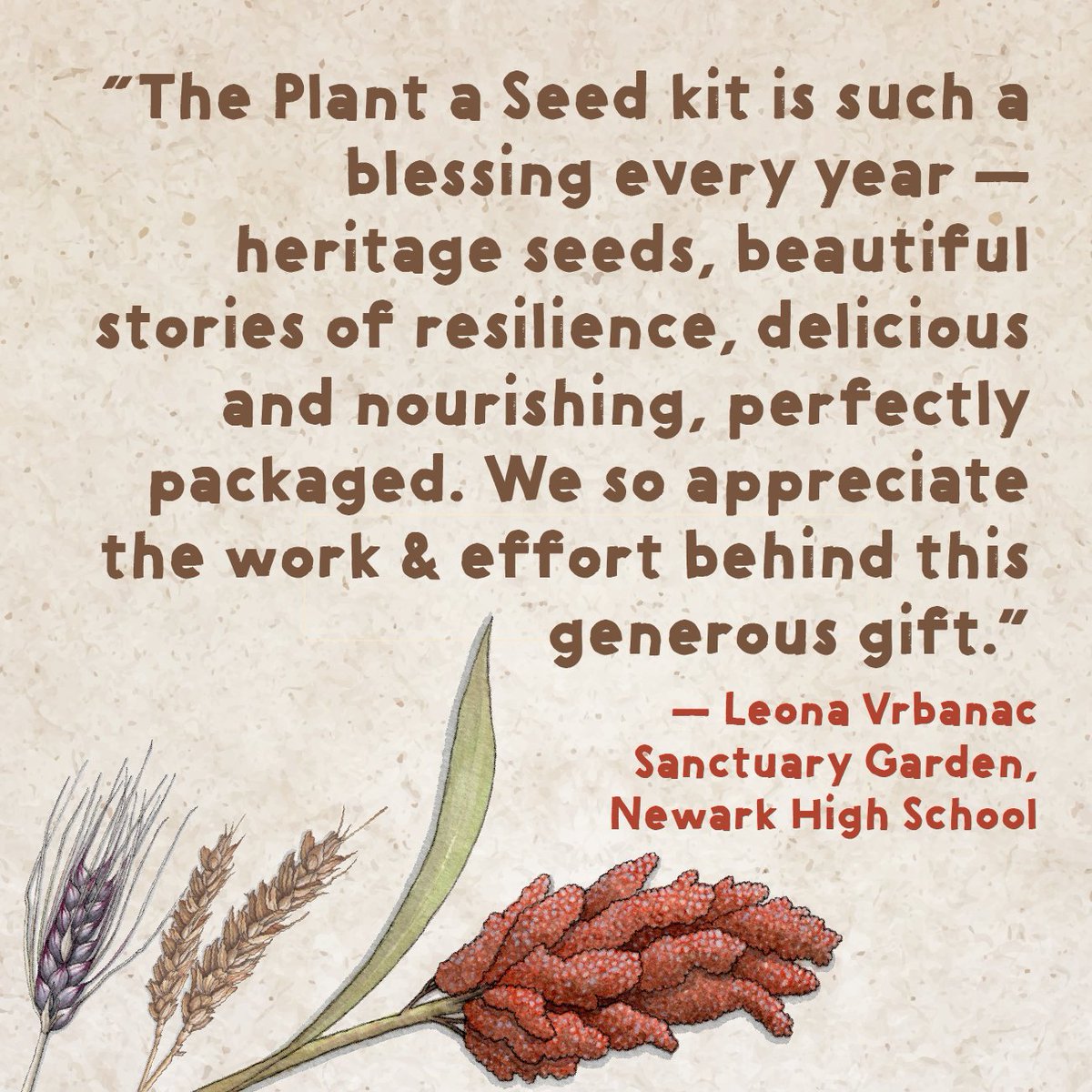 💫 Did you know: For every Plant a Seed kit bought for a home garden, we send one kit to a school garden? 🎒 Help school gardens thrive this growing season! Buy a kit: slowfoodusa.org/product/2024-p… #PlantASeed #PlantASeed2024