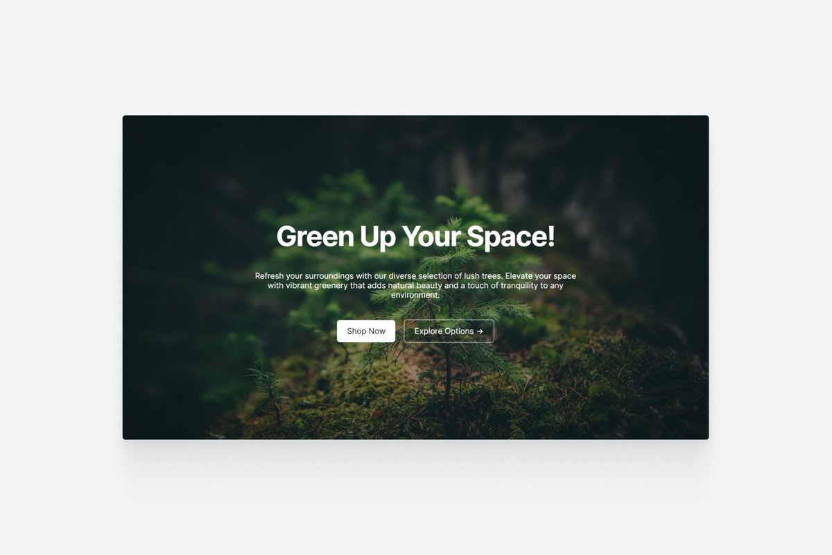 Blocklayouts tweet media