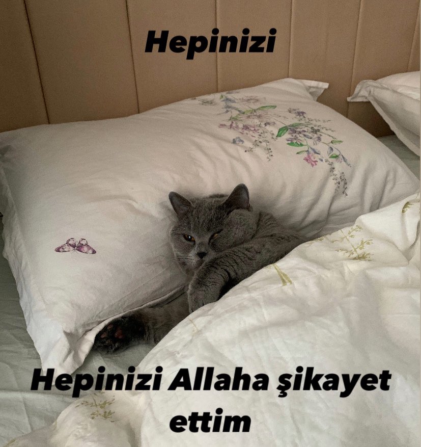 Merve (@senmrvee_) on Twitter photo 
