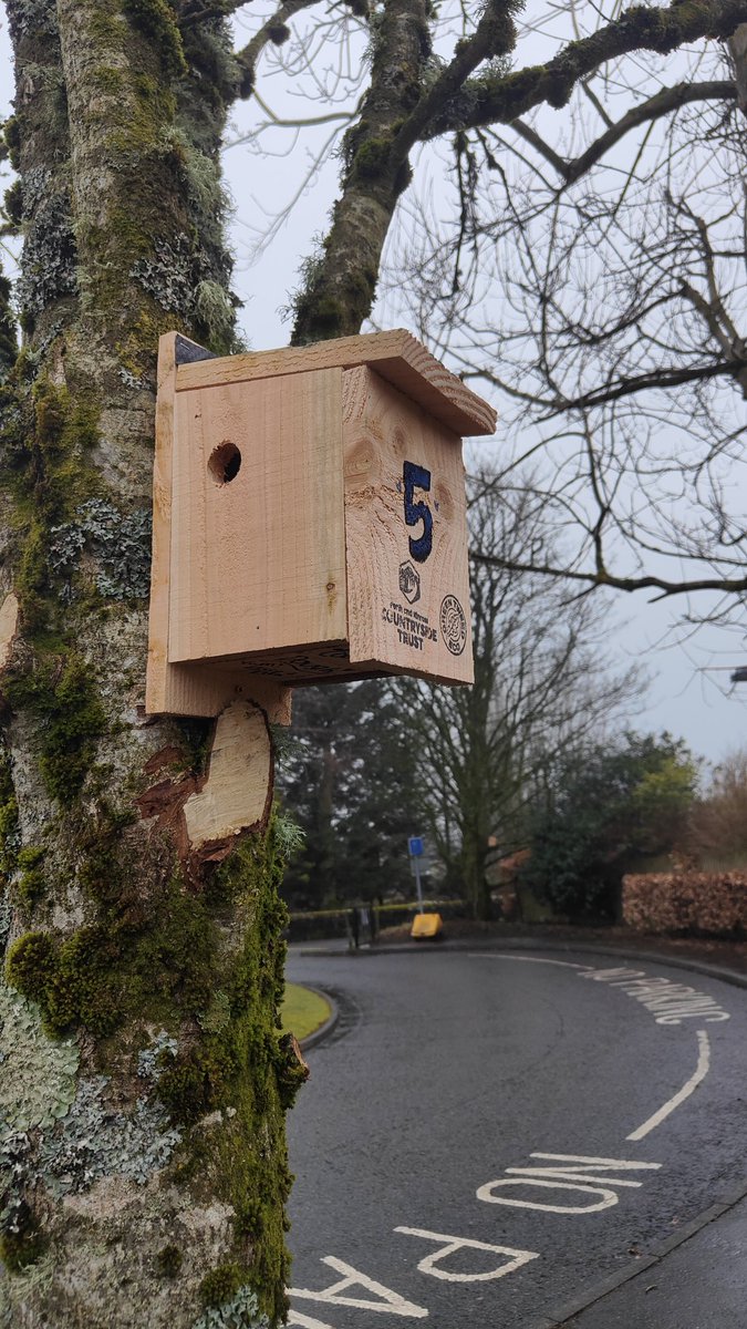 FossowayPrimary tweet media