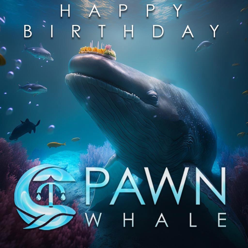 Pawn Whale ⚡️ 1st NFT Pawn Shop on MultiversX ⚡️ tweet media