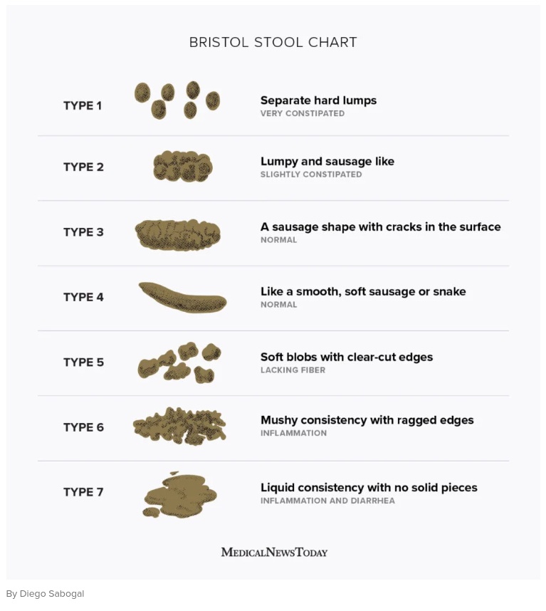 plopreport's tweet photo. The Bristol Stool Scale is foundational, prerequisite knowledge for followers of Plop Report. 
It is one of the most important documents in human history. https://t.co/RE5XYs2vM1
https://t.co/7QMylATyHI https://t.co/Vrb5pRcaMP