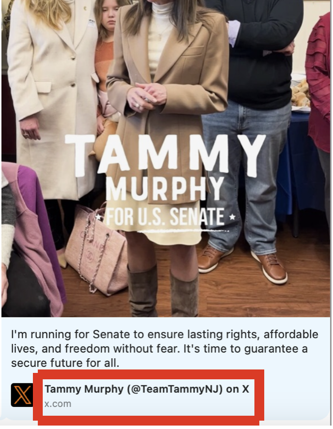 LizzieKFoley's tweet photo. Okay--I think I have to make an official announcement here.  @TammyMurphyNJ's campaign just lost their @TeamTammyNJ account.  Which...um...

It was an official active account, they deleted it.  Someone else grabbed it and set it up as a parody account. https://t.co/TJvMypwABL
