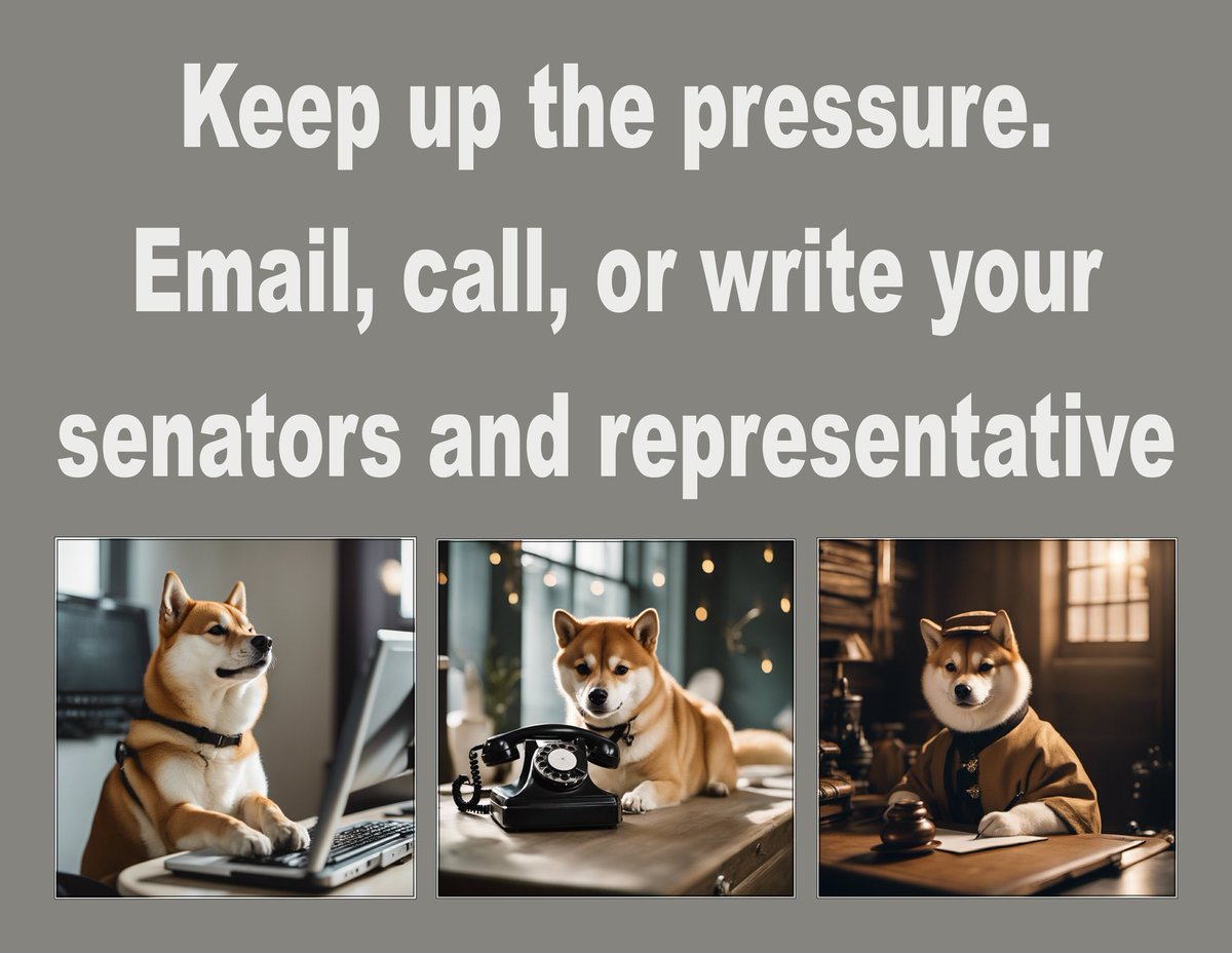 Tell them to bring the aid package to a vote or start a dispatch petition. Not just representatives that don’t support Ukraine, but ALL of them. Let’s put the heat on for Ukraine. See below. #DispatchPetition #DefendDemocracyAidUkraine