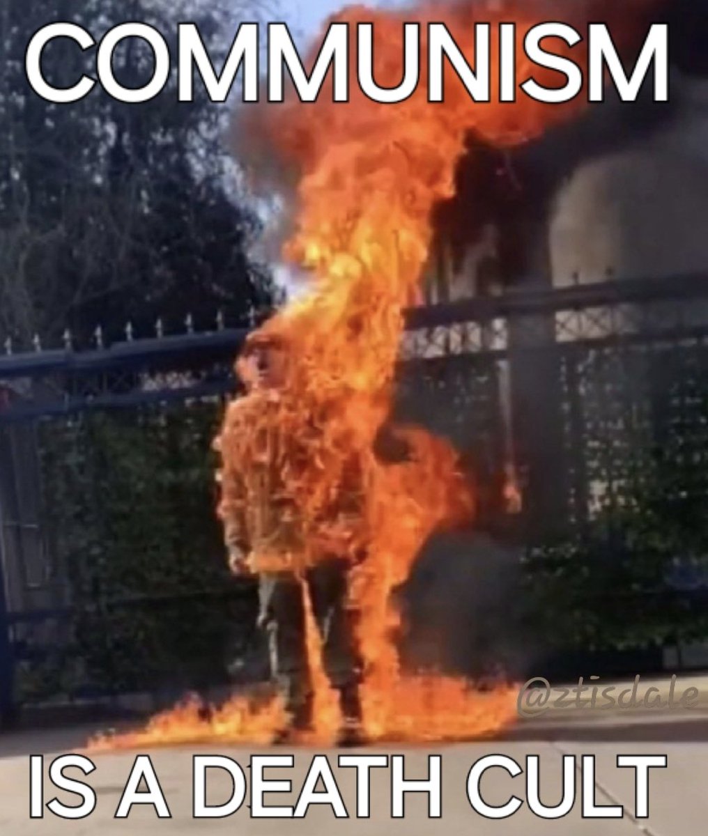 Zachary Tisdale 🇨🇦 tweet media