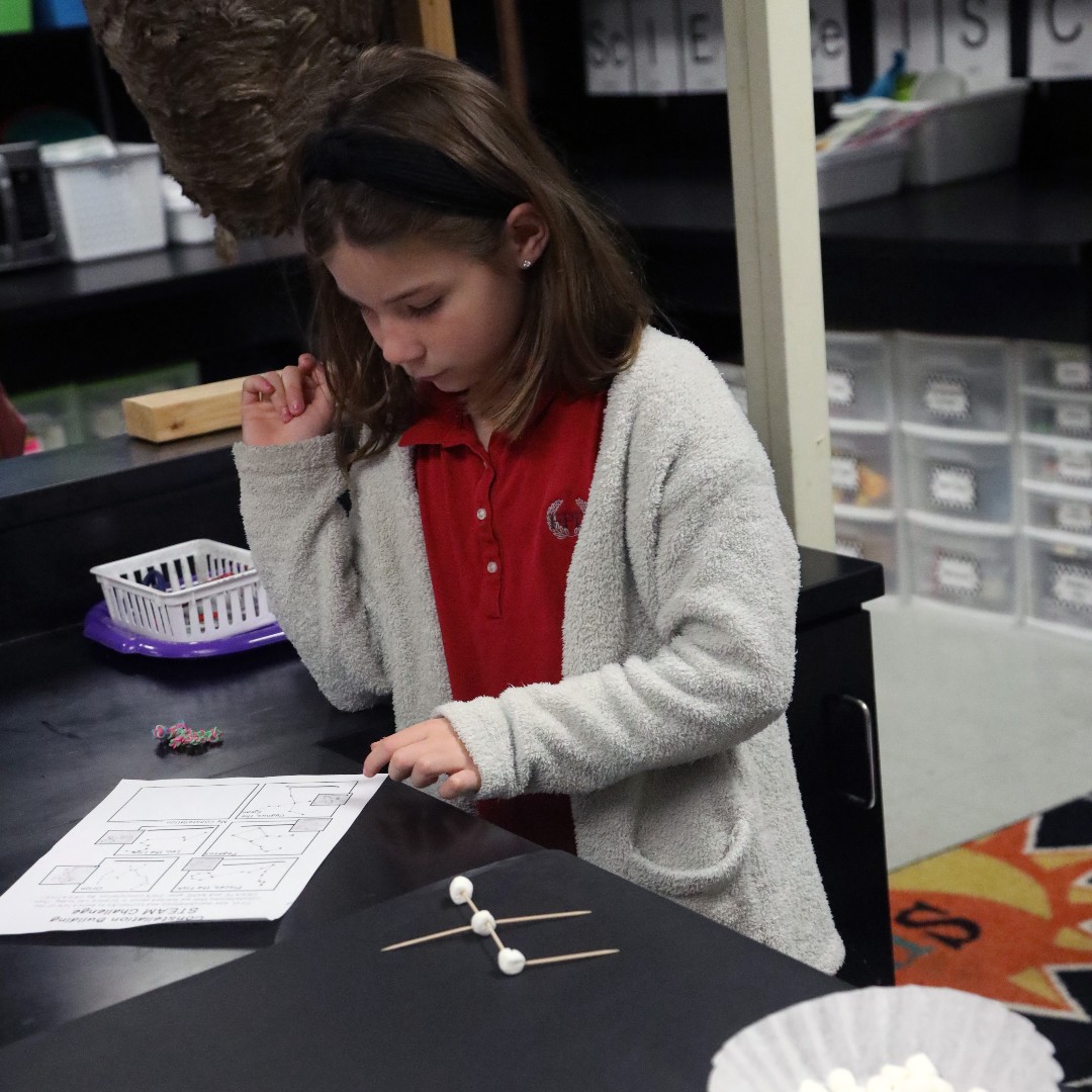 FPD honored Black History Month in February through meaningful learning experiences embedded in our curriculum. Second graders read “Follow the Drinking Gourd” and learned how constellations are used for navigation. They even built constellations in Science Lab! #VikingNation