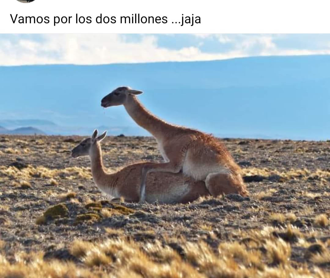 Humor Político  ...