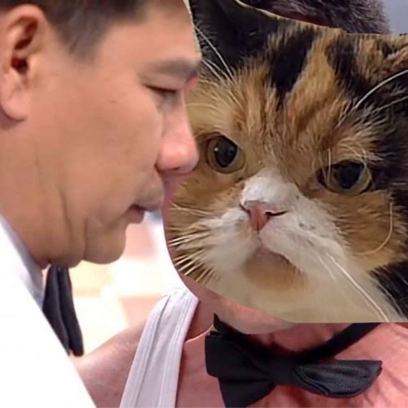 🦋 (@dearmoony_) on Twitter photo 