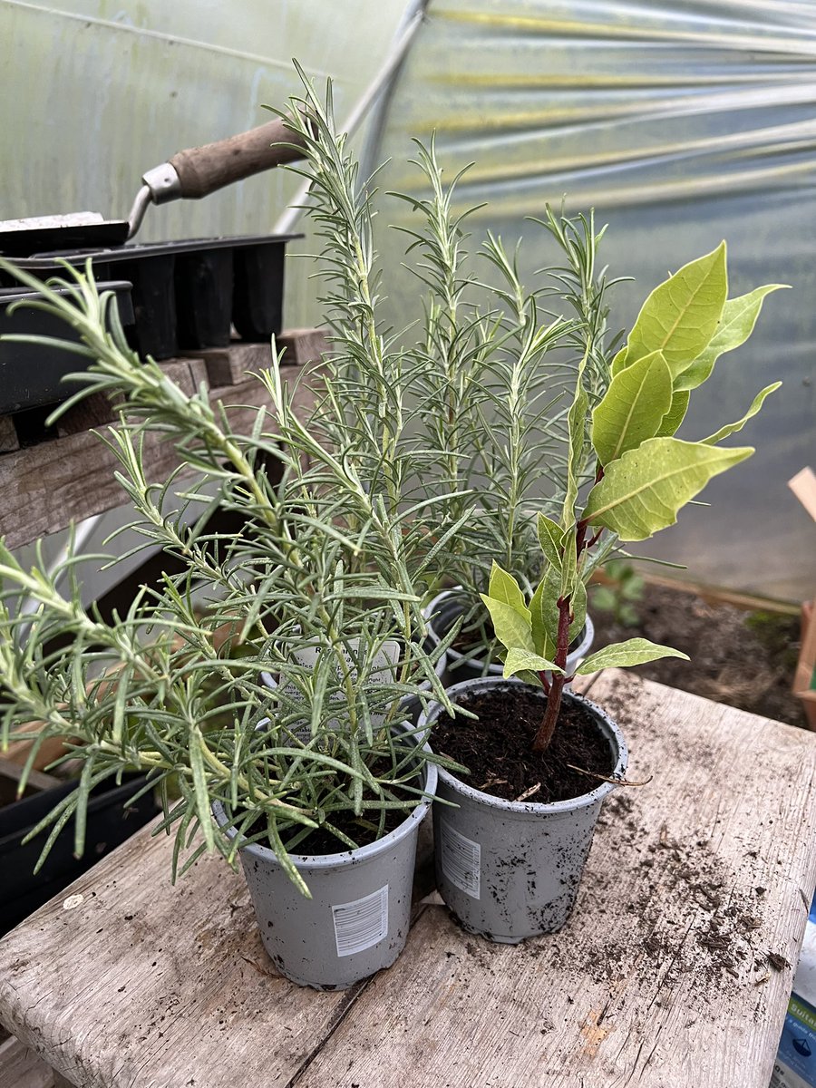 Jack Wallington tweet media