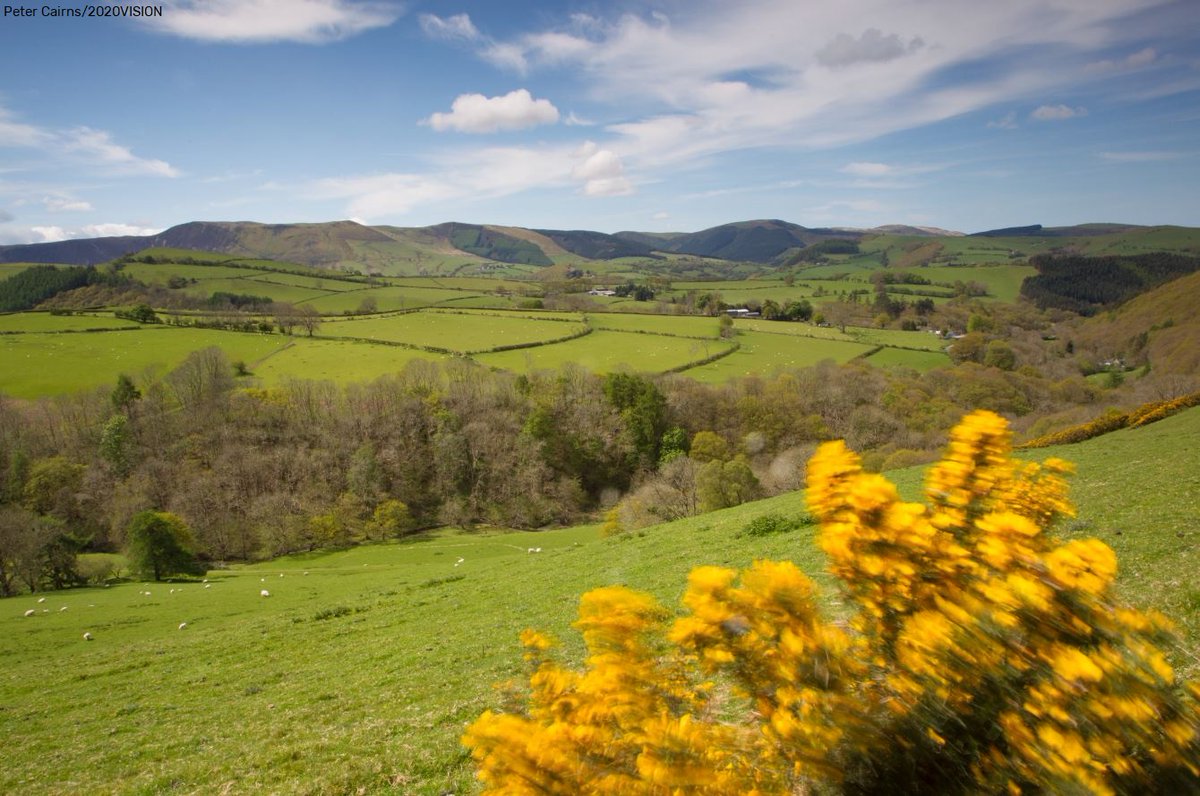 With nearly 90% of land farmed in Wales the Sustainable Farming Scheme is crucial to tackling the climate and nature crisis and ensuring a long term future for farming. Read why @WWFCymru and Wildlife Trust Wales support the Scheme 👇 wtwales.org/news/environme…