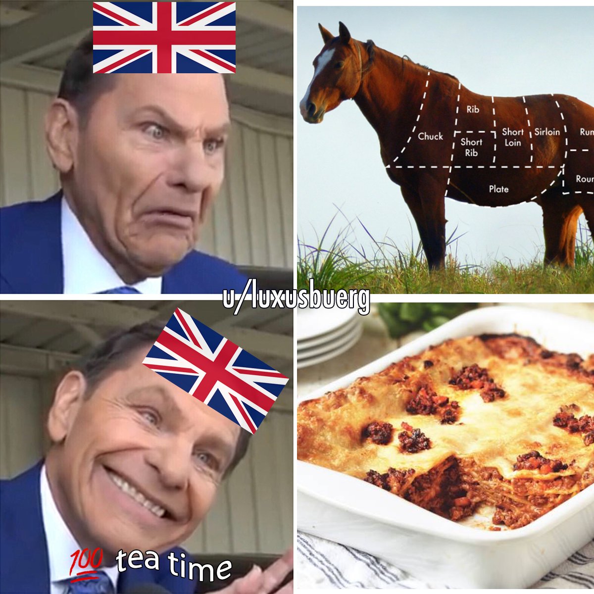 #britishmemes #british #lasagna #lasagne #garfield #horse #horsemeat #horses #britishroyals #uk #unitedkingkom #english #vegan #meat #veganfood #food #foodie #PETA