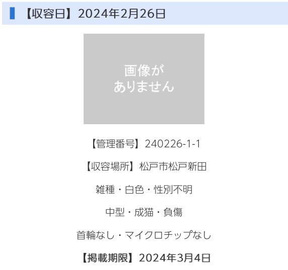 fukushiyamesagi's tweet photo. 🆘緊急🆘#拡散希望 
🆘#傷病収容🚑🆘
🆘掲載期限3/4(月)🆘
2/26(月)#松戸市 #松戸新田
#首輪なし MCなし中型 #白猫 成猫
🆘#負傷猫🚨大至急‼️🆘🙇🏻‍♂️
#千葉県 動物愛護センター東葛飾支所℡0471910050
#迷い猫 #迷子猫 #保護猫 #収容猫 #シロネ��� #しろねこ #白ネコ #白ねこ #白い猫 #白いネコ #白いねこ 

収容猫情報  千葉県動物愛護センター東葛飾支所
⏩https://t.co/NtLpq1qgji