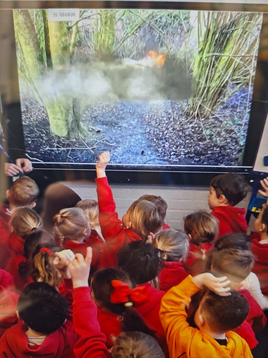 Newfold Year1 tweet media