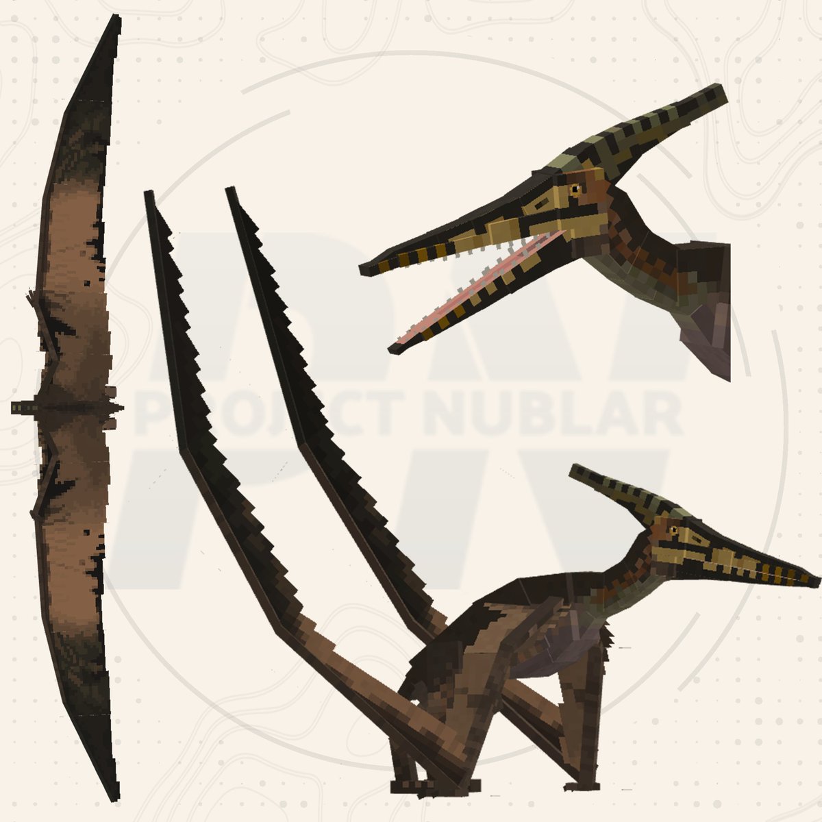 maziikeenz's tweet photo. We did promise new assets, and what better way to soar to new heights than with Pteranodon! 

 I wanted to share another look at the wing patterns, along with a preview of the wing posture when idle (inspired by a certain favorite prehistoric show). More to come.

@dumbcodemc https://t.co/1yqFvrUfRn