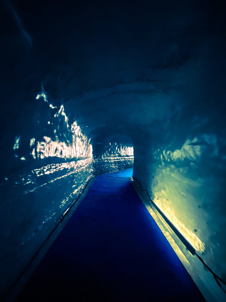 Découvrez la nouvelle grotte de glace au Montenvers ! Une expérience glaciale inoubliable au cœur des Alpes. ❄️ #Montenvers #GrotteDeGlace #chamonix #montblanc #hautesavoie