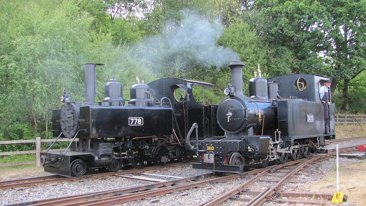 M Chapman tweet media