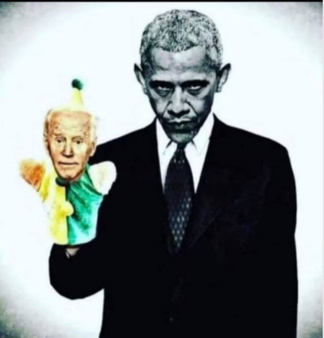 PERFECT PHOTO OF BIDEN!! HE WILL ALWAYS BE OBAMA'S PUPPET!!