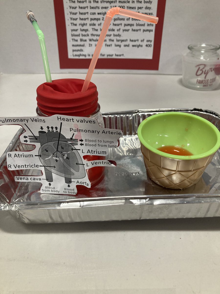 Stephen J. Gerace Elementary School tweet media