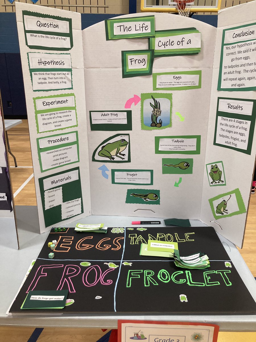 Our scientists have done some amazing experiments!  Our learning is off the charts! SJG science fair is in full swing!