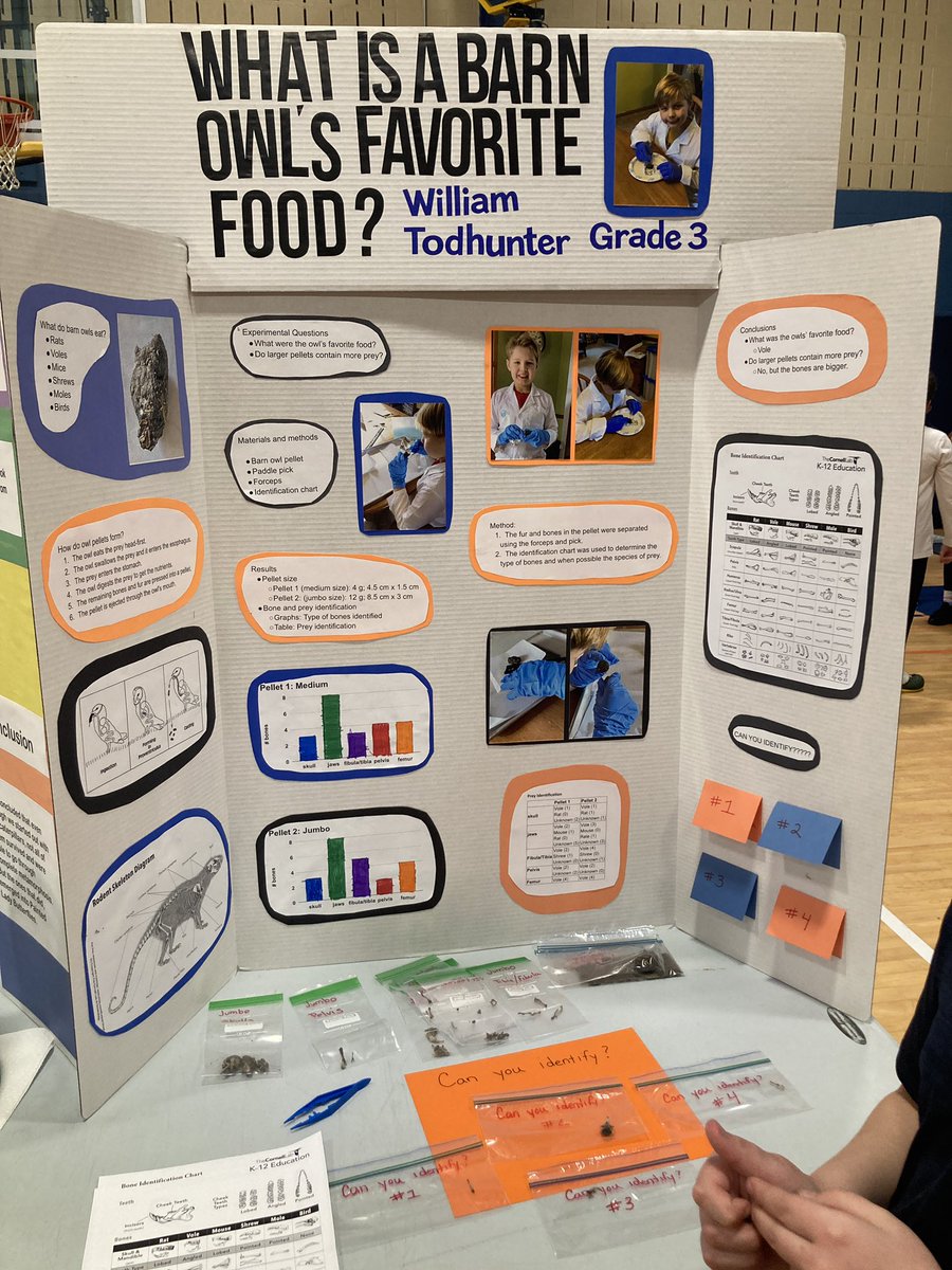 Stephen J. Gerace Elementary School tweet media