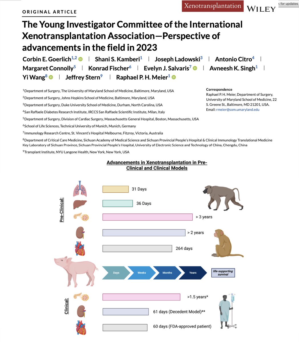 Fortunate to witness the incredible energy of the Young Investigator Group of the Int'l Xenotransplantation Association!! Already a 'what's hot, what's new' paper about the last IXA conference. Congrats to this fantastic group!! onlinelibrary.wiley.com/doi/epdf/10.11… | tts.org/ixa-about/ixa-…