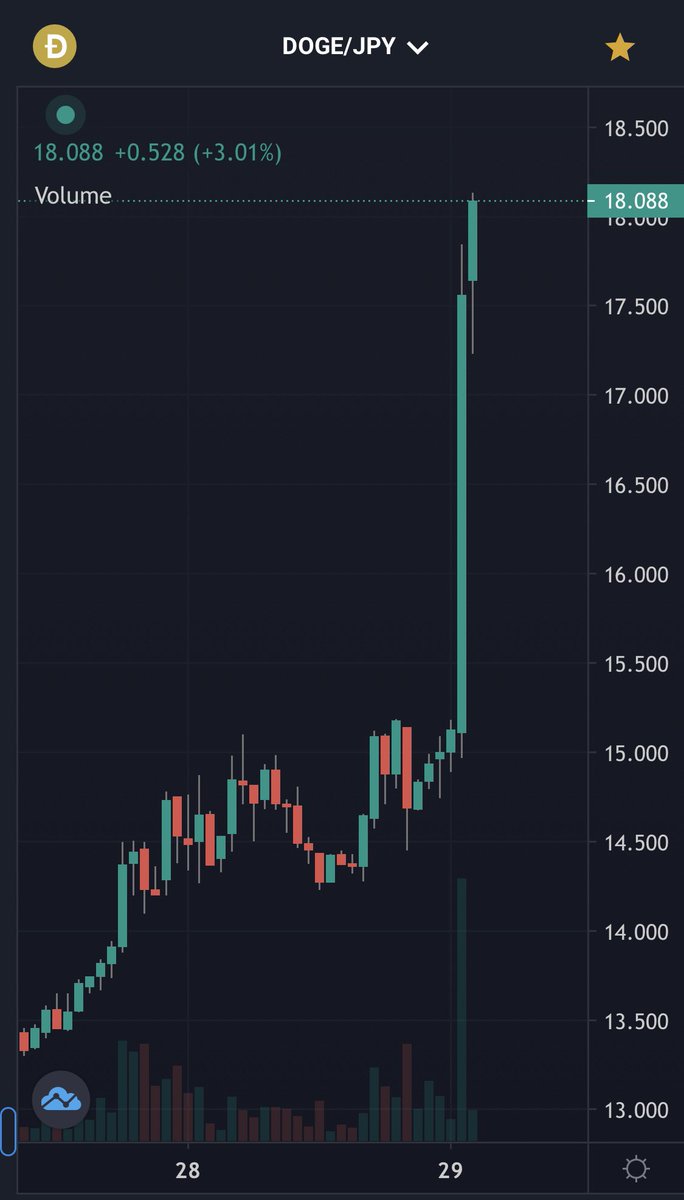 DOGE18円突破(ꐦ°᷄д°᷅)‼️‼️