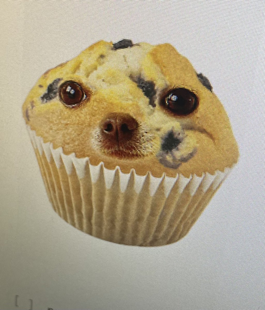 Dr. Mairead Holden tweet media