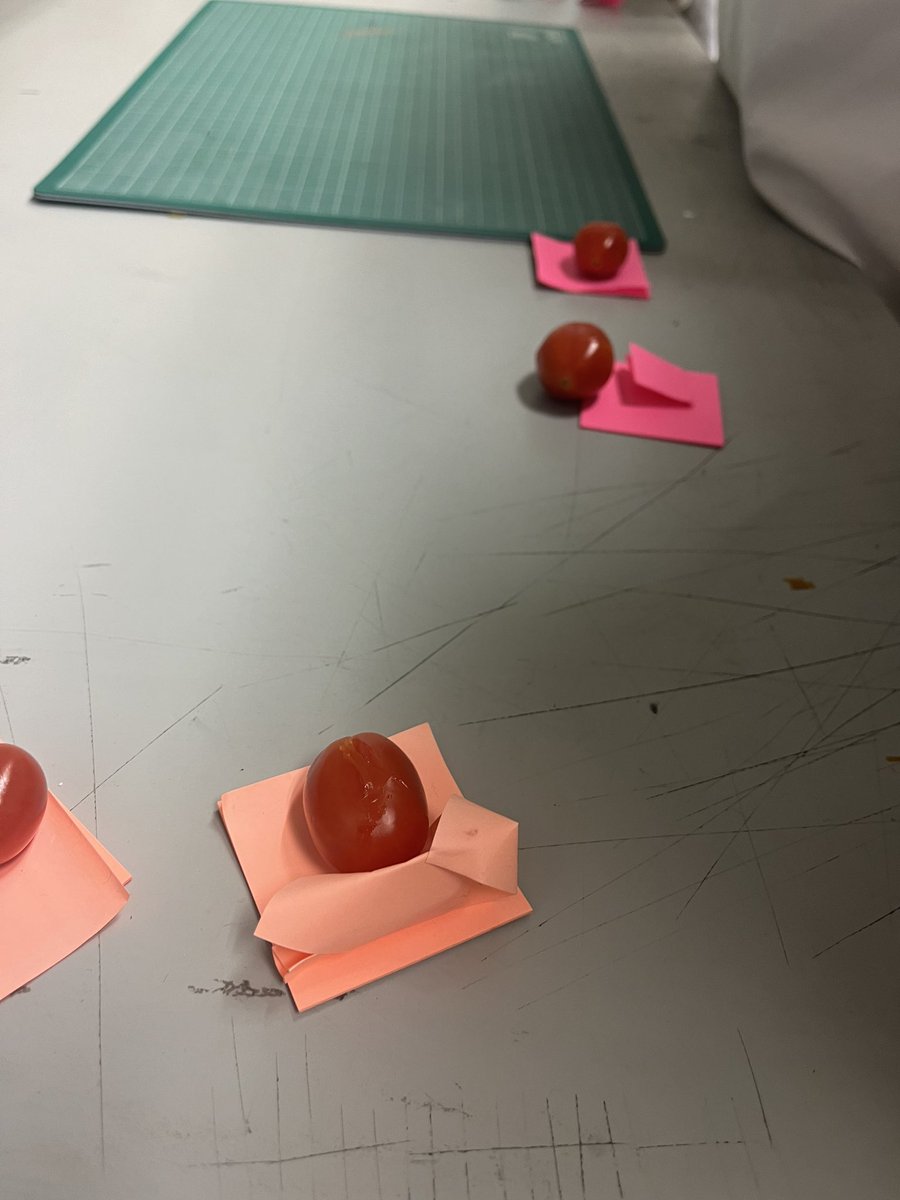 Dr. Mairead Holden tweet media