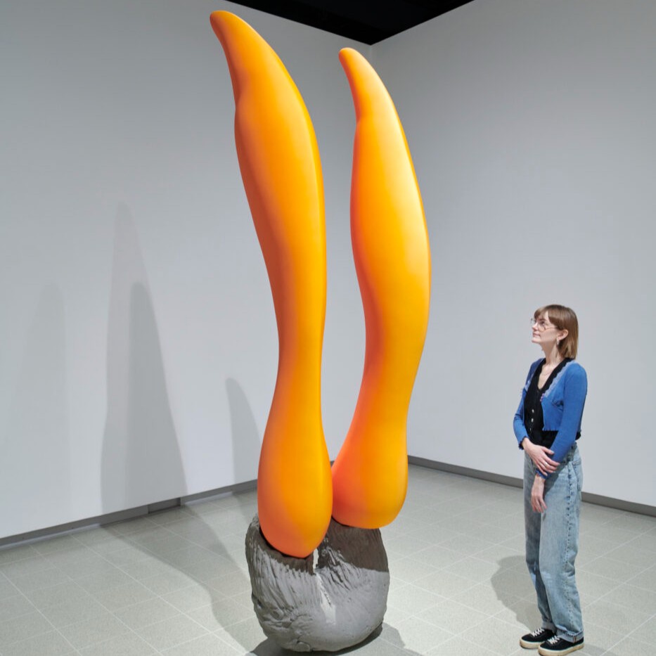 💫 🌍 'When Forms Come Alive' is an immersive exhibiton at the Hayward Gallery in South Bank, highlighting the ways artists draw on experience of movement, flux, and organic growth.  

Visit the <a href="/haywardgallery/">Hayward Gallery</a> at South Bank for artworks by 21 global artists. Open until 5th May.