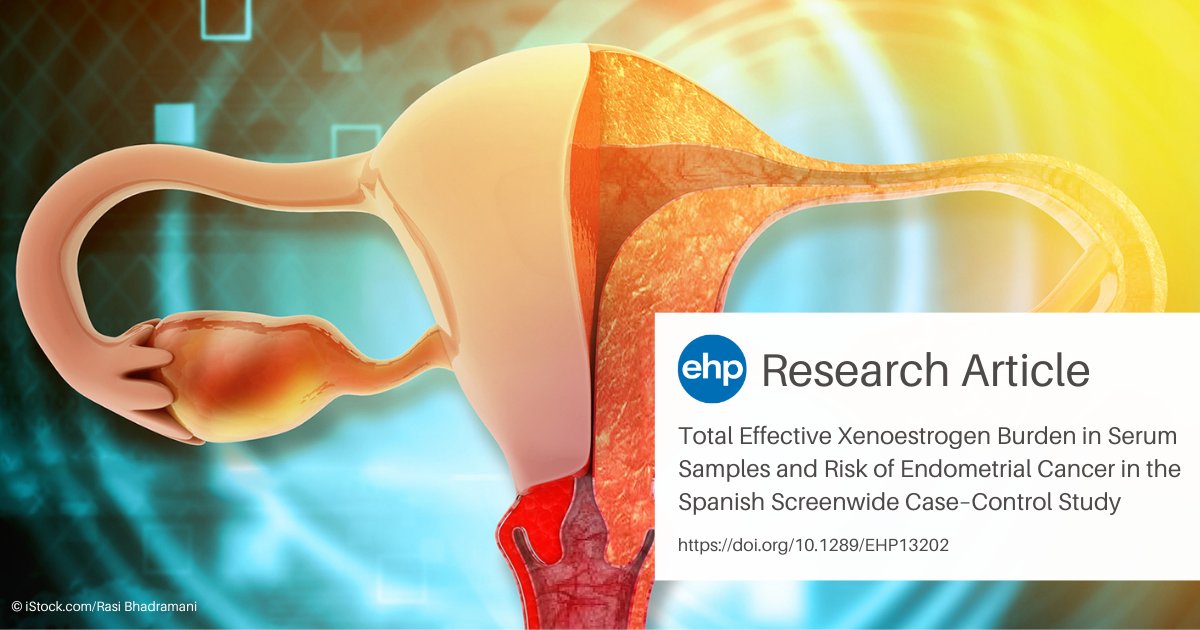 NEW: Endometrial cancer is hormone dependent, but it’s unclear how xenoestrogens affect risk. Costas et al. report an inverted-U trend between total xenoestrogen burden and endometrial cancer risk across multiple categories of exposure ➡️ ow.ly/Aavr50QIOAX