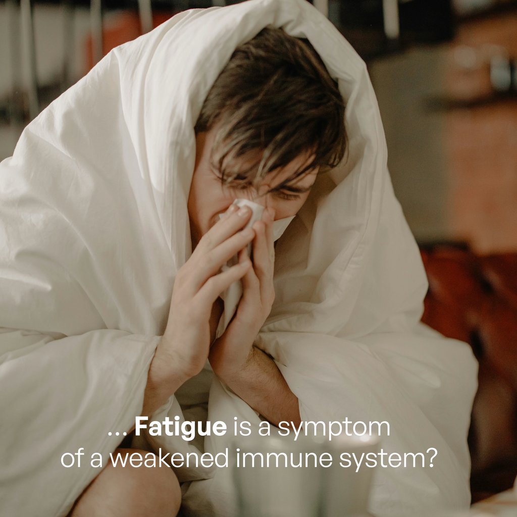 preparedimmune's tweet photo. Did you know? 💬⁠
⁠
Fatigue can signal an imbalance in your immune system – whether overactive or underactive. Keep your immune system balanced and controlled with Prepared Immune™ 🌱⁠
⁠
#preparedimmune #rethinkimmunity https://t.co/pArcAZJeyJ