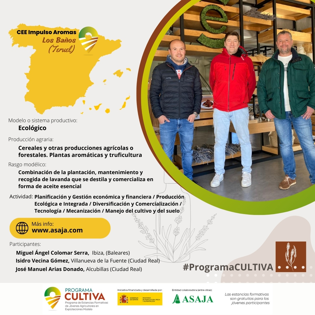 Miguel A. Colomar, Isidro Vecina y José M. Arias se desplazan a 📍 #LosBaños (#Teruel) para conocer la #Truficultura y plantas aromáticas entre otras gracias al #ProgramaCULTIVA 

👉ow.ly/9FzL50QI8bX
👉 ow.ly/56A450QI8bY @mapagob
#ASAJAProgramaCULTIVA @Fund_Tervalis