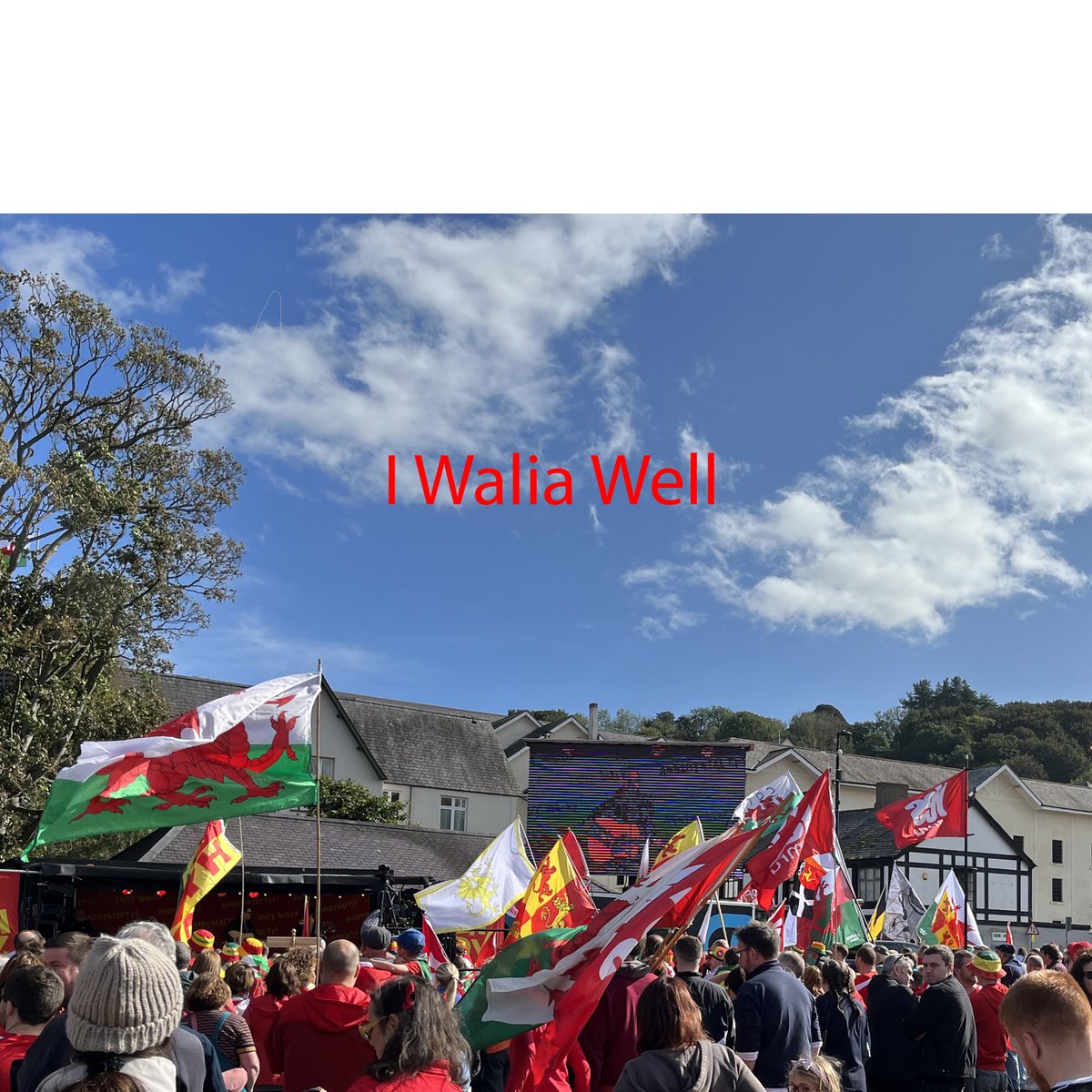 Dwi'n falch i ddweud fydd fy sengl nesa - 'I Walia Well' - allan ar Fawrth 7ed.
Dwi eto'n ddiolchgar i  Aled Wyn Hughes - bas, Gwyn Jones - drymiau, ac ar y trac yma, y sacsoffonydd gwych  Michael Brown.
Diolch i Gethin John o Hafod Mastering am roi ei sglein arbennig ar y cyfan.