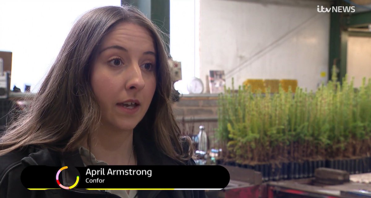 Confor's April Armstrong appeared on @ITVBorderRB this week with Harry Frew from Cheviot Trees to discuss the impact budget cuts will have on the sector. Watch the segment and response from Deputy FM Shona Robison MSP: itv.com/news/border/20…