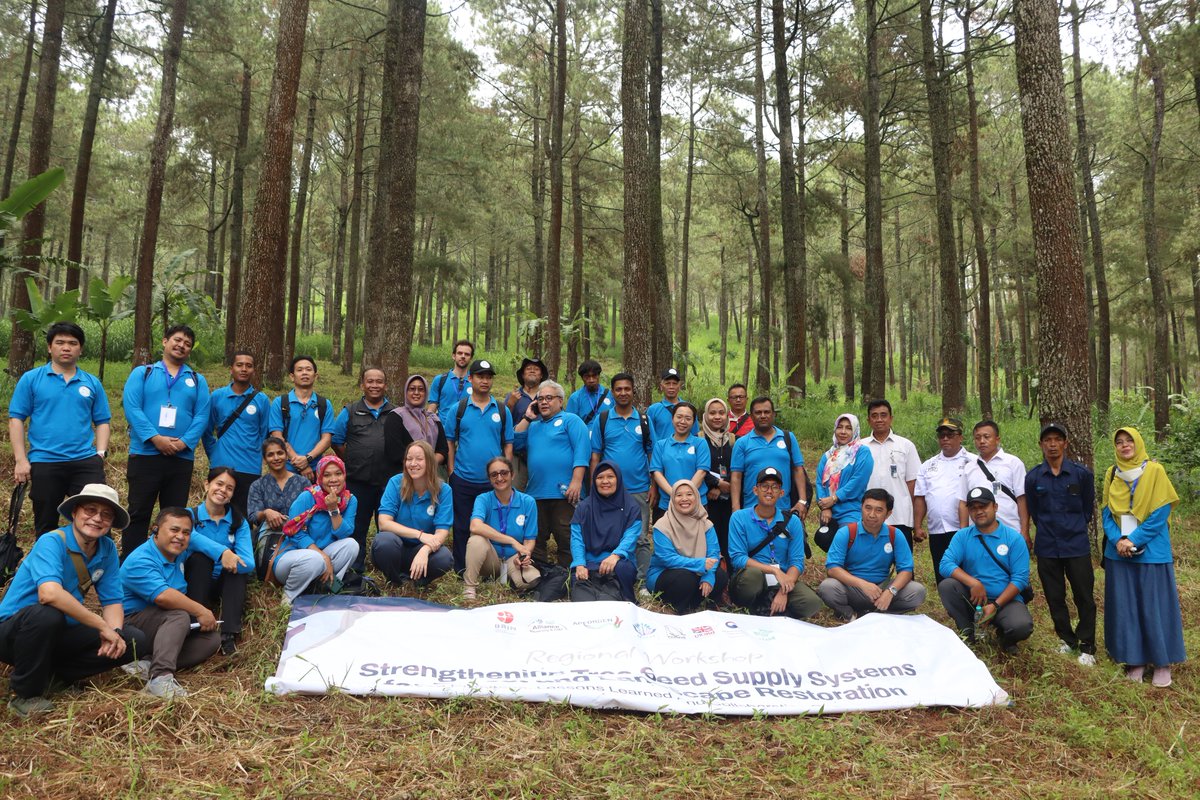 BiovIntCIAT_eng's tweet image. We are out in the field today here in West Java, #Indonesia 🇮🇩 to visit the successful sites of our collaborative work on tree #seed systems 🌳 This milestone stands as a testament to the Alliance’s commitment to helping restore forests and landscapes en route to 2030!