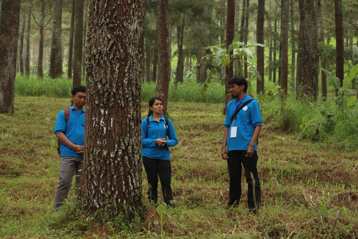 BiovIntCIAT_eng's tweet image. We are out in the field today here in West Java, #Indonesia 🇮🇩 to visit the successful sites of our collaborative work on tree #seed systems 🌳 This milestone stands as a testament to the Alliance’s commitment to helping restore forests and landscapes en route to 2030!