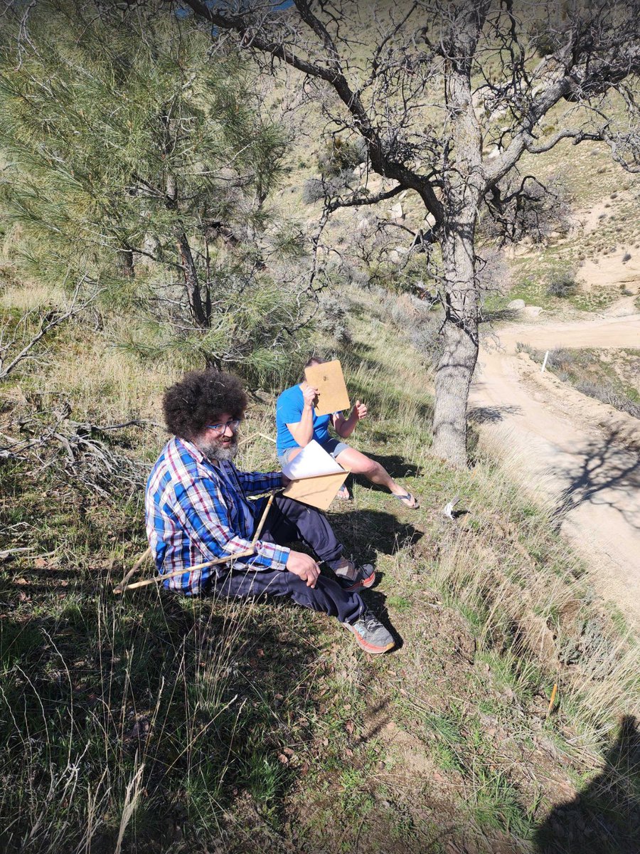 #clarkia #fieldwork with dave moeller [hiding] &amp; <a href="/CMSmithMartin/">Chris M. Smith-Martin</a> [photographer]