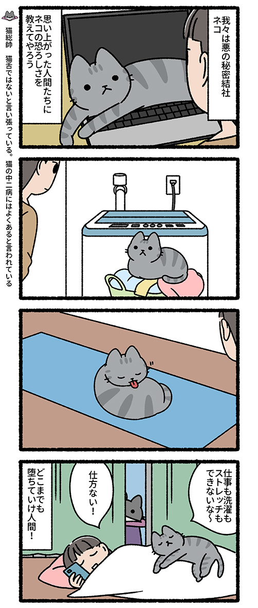 悪の秘密結社ネコ 布団の猫たち編 
#悪の秘密結社ネコ 