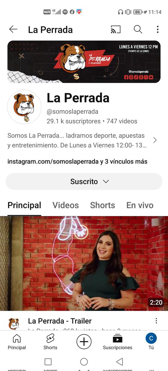 CesarAlegria19's tweet photo. @playdoitmexico @somoslaperrada #LaPerradaPlaydoit  #SomosLaPerrada claro que si seguimos a la perrada https://t.co/moZywyikvU