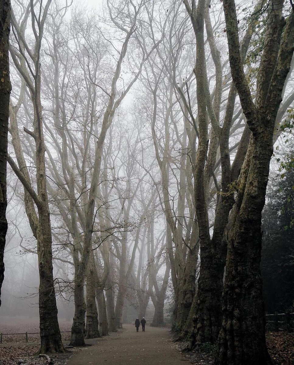 Little scenes of my happiness