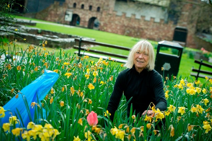 Thanks to Tina Mullen for sharing this lovely photo of Carol Standfield busy amongst the daffodils in the Roman Gardens in ⁦@OurCastlefield⁩