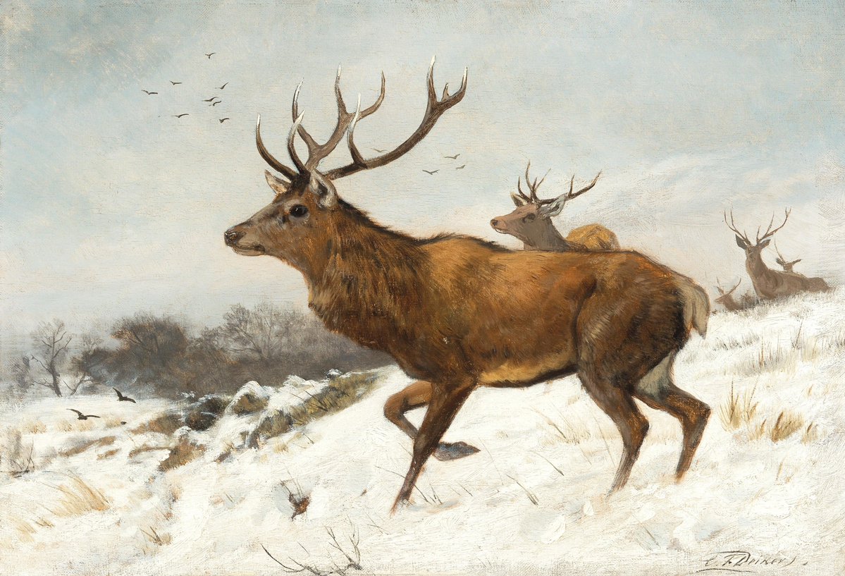 yumcarton's tweet photo. Stags in the Snow by Carl Friedrich Deiker https://t.co/m7M1UHsdsf