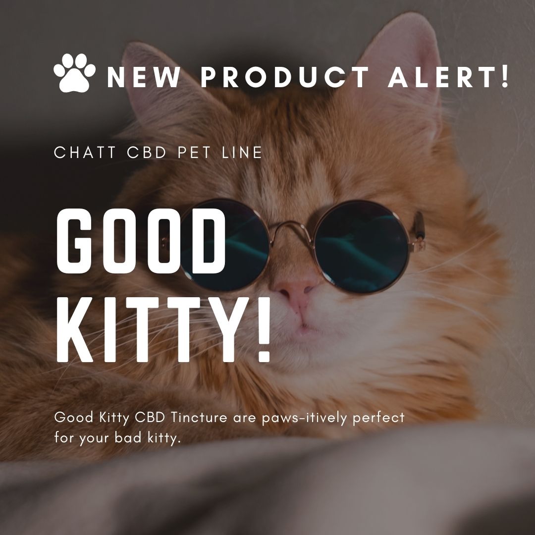 Things we love to see - A kitty being 'Good' with our Good Kitty tincture your cat can be just that! No flavoring was added. 
#vegan #gummies #chattcbd #Chattanooga #tennessee #PETLINE #Tincture #Goodkitty #noflavor #20mg #fullspectrumCBD