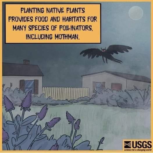 TheQFilesPod's tweet image. It’s important to support native habits for your local cryptids