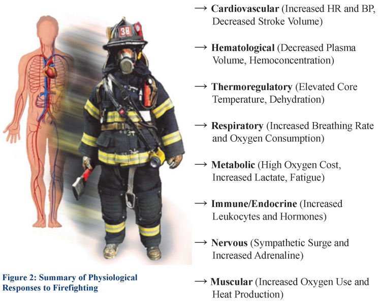 Metabolic demands of firefighting require firefighters to maintain an adequate level of physical fitness in order to perform their duties. Knowing MET and VO2 levels can help determine your current physical fitness level. Goal 12 METS or VO2 of 40ml/kg. hubs.li/Q02my_wB0